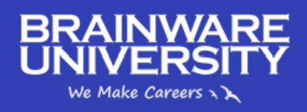 Brainware University